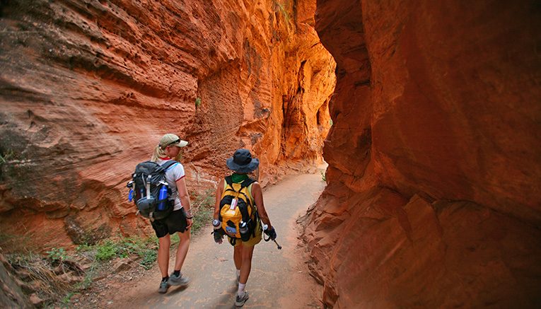 Wzbq-zion-bryce-walking-7